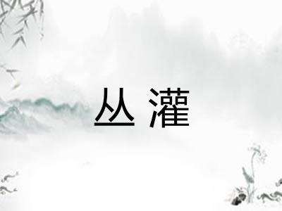 丛灌