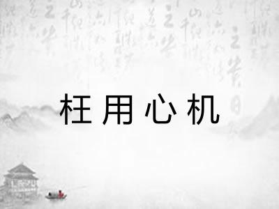 枉用心机