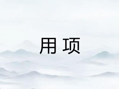 用项
