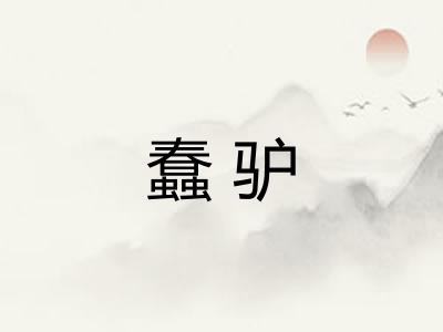 蠢驴