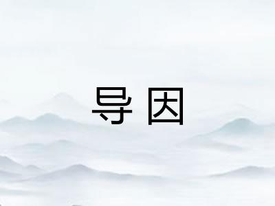 导因