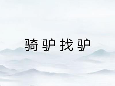 骑驴找驴