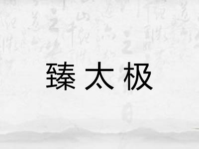臻太极