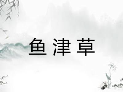 鱼津草