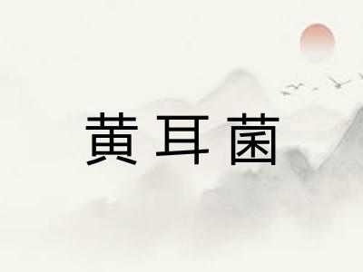黄耳菌