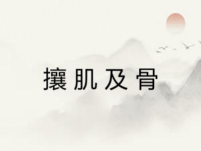 攘肌及骨