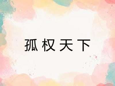 孤权天下