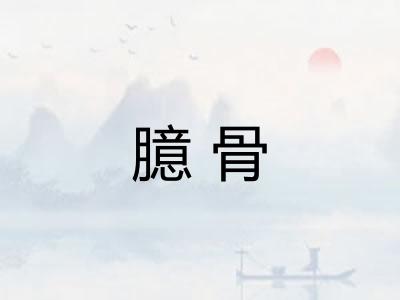 臆骨