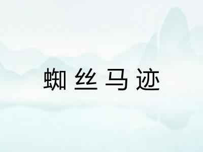 蜘丝马迹
