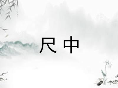 尺中