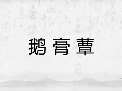 鹅膏蕈