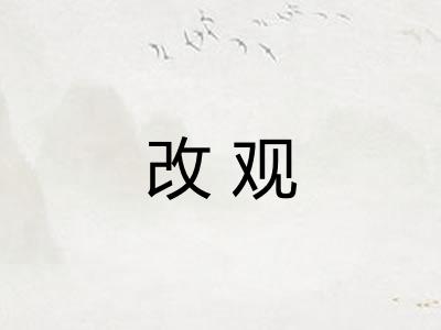 改观