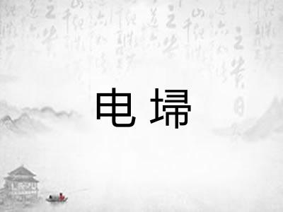 电埽