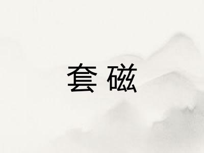 套磁