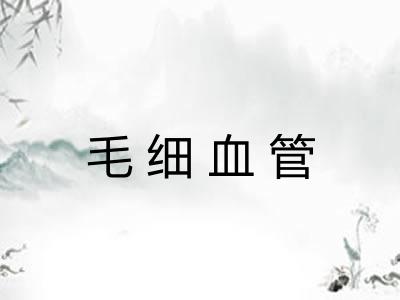 毛细血管