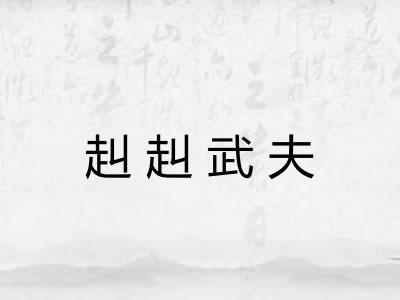 赳赳武夫