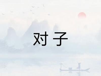 对子