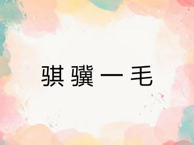 骐骥一毛