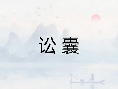 讼囊