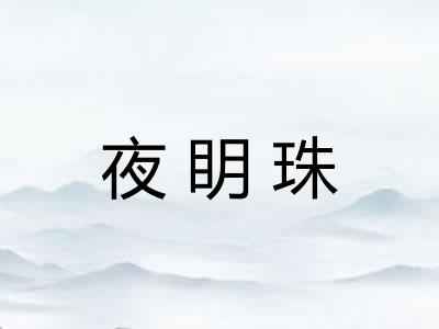 夜眀珠