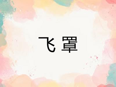飞罩