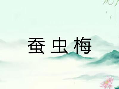 蚕虫梅
