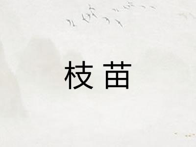 枝苗