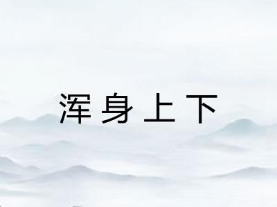 浑身上下