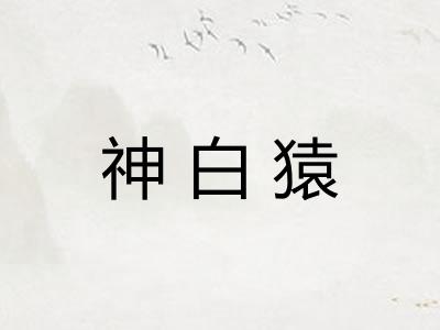 神白猿