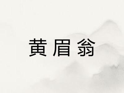 黄眉翁