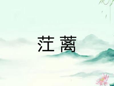 茳蓠