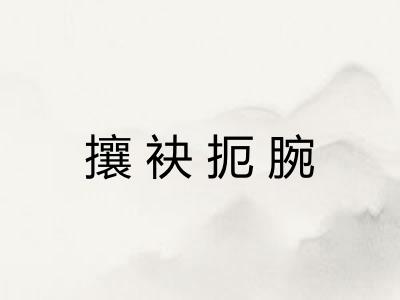 攘袂扼腕