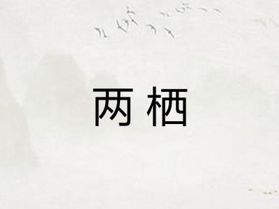 两栖