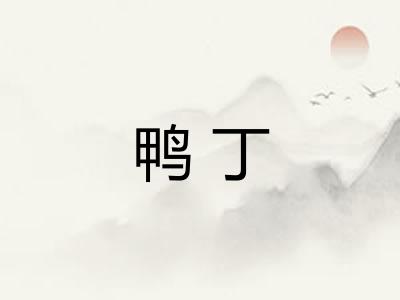 鸭丁