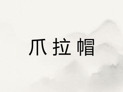 爪拉帽