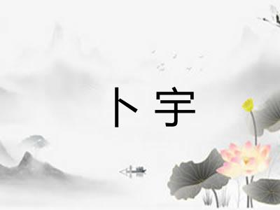 卜宇