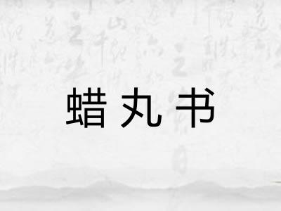 蜡丸书