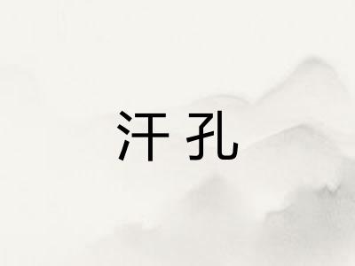 汗孔