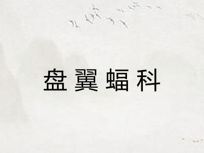 盘翼蝠科