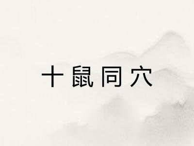 十鼠同穴