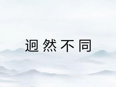 迥然不同