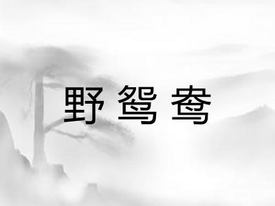 野鸳鸯