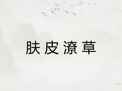 肤皮潦草