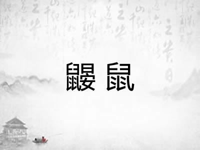 鼹鼠
