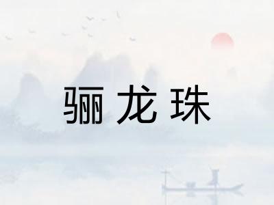 骊龙珠
