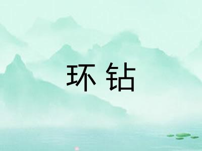 环钻