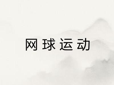 网球运动