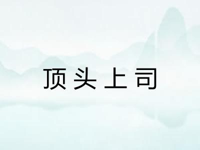 顶头上司