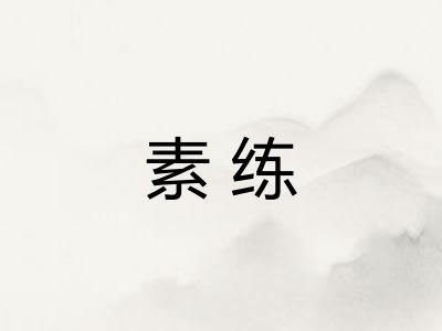 素练