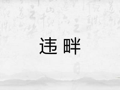 违畔